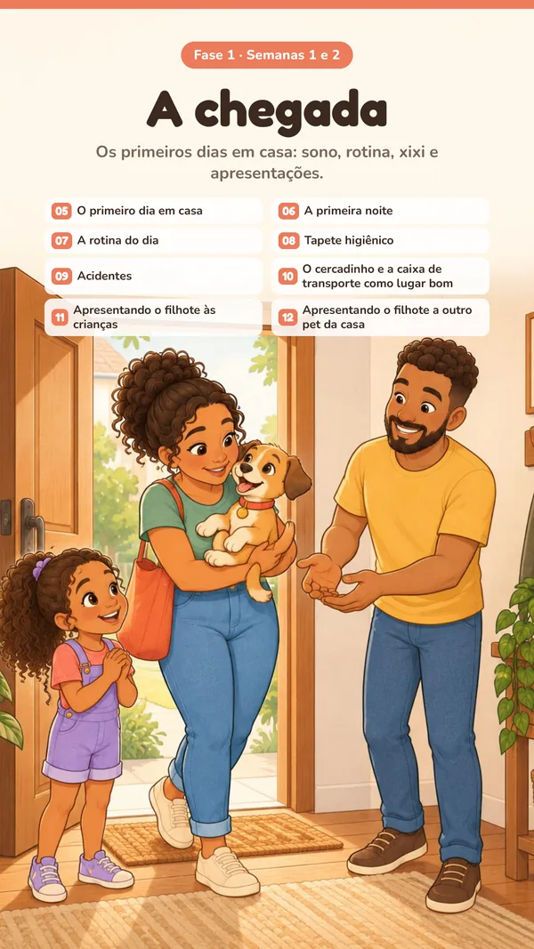 Abertura da Fase 1: A chegada