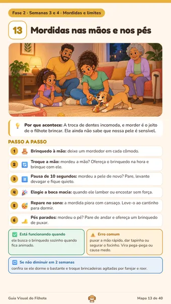 Mapa 13 real: Mordidas nas mãos e nos pés