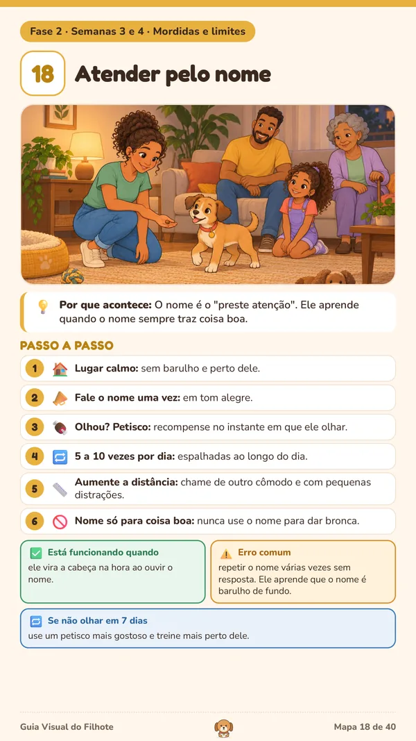 Mapa 18: Atender pelo nome